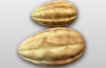 Haba de Chocolate Blanco con cacao (Únicas unidades)