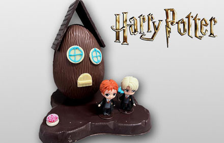 Casa Huevo 200gr Harry Potter (Única unidad)